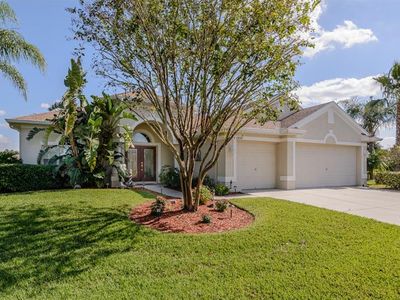 2424 Tarragon Ln, New Port Richey, FL, 34655