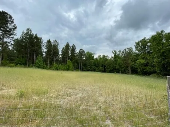 0 Hwy 123, Mitchell, GA