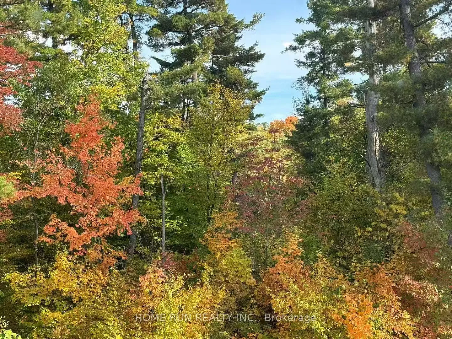 5 bed, $4,950 — Photo 4