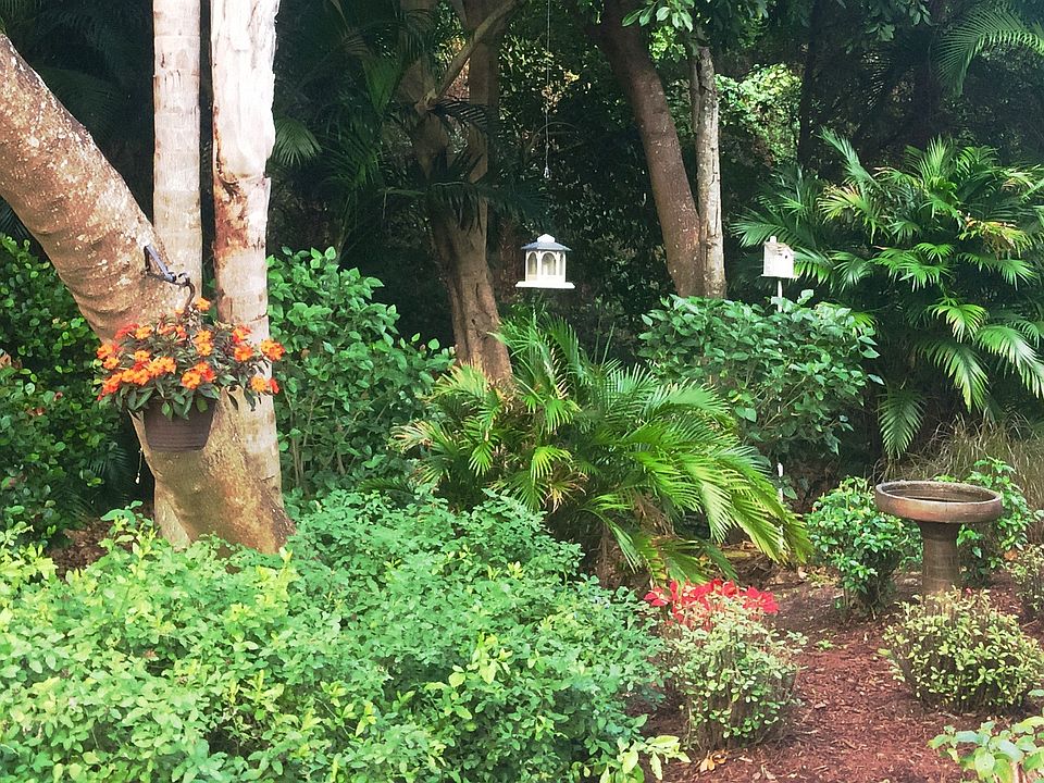 View of backyard preserve 