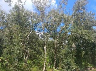 3077 SE Lana Cir, Arcadia, FL 34266