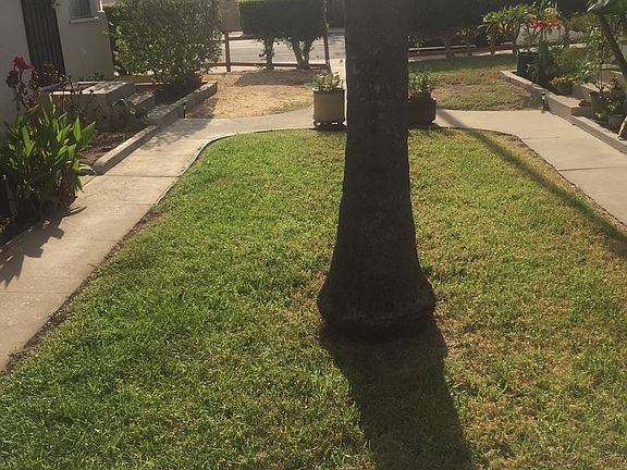 5th image of 3979 Alabama St