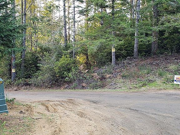 Driveway & electric at left