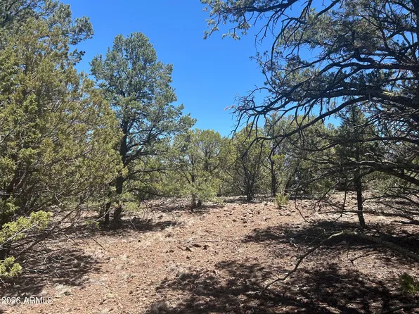 TBD lot 37K -- #037K, Vernon, AZ 85940