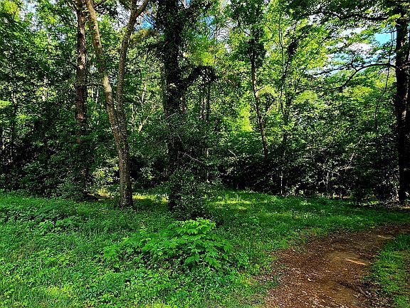 2nd image of 504 John Kolb Rd