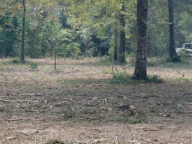 2nd image of 22912 Highway 40