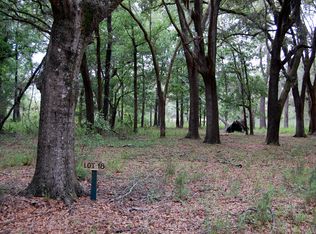 8450 Saint Pierre Creek Dr, Edisto Island, SC 29438