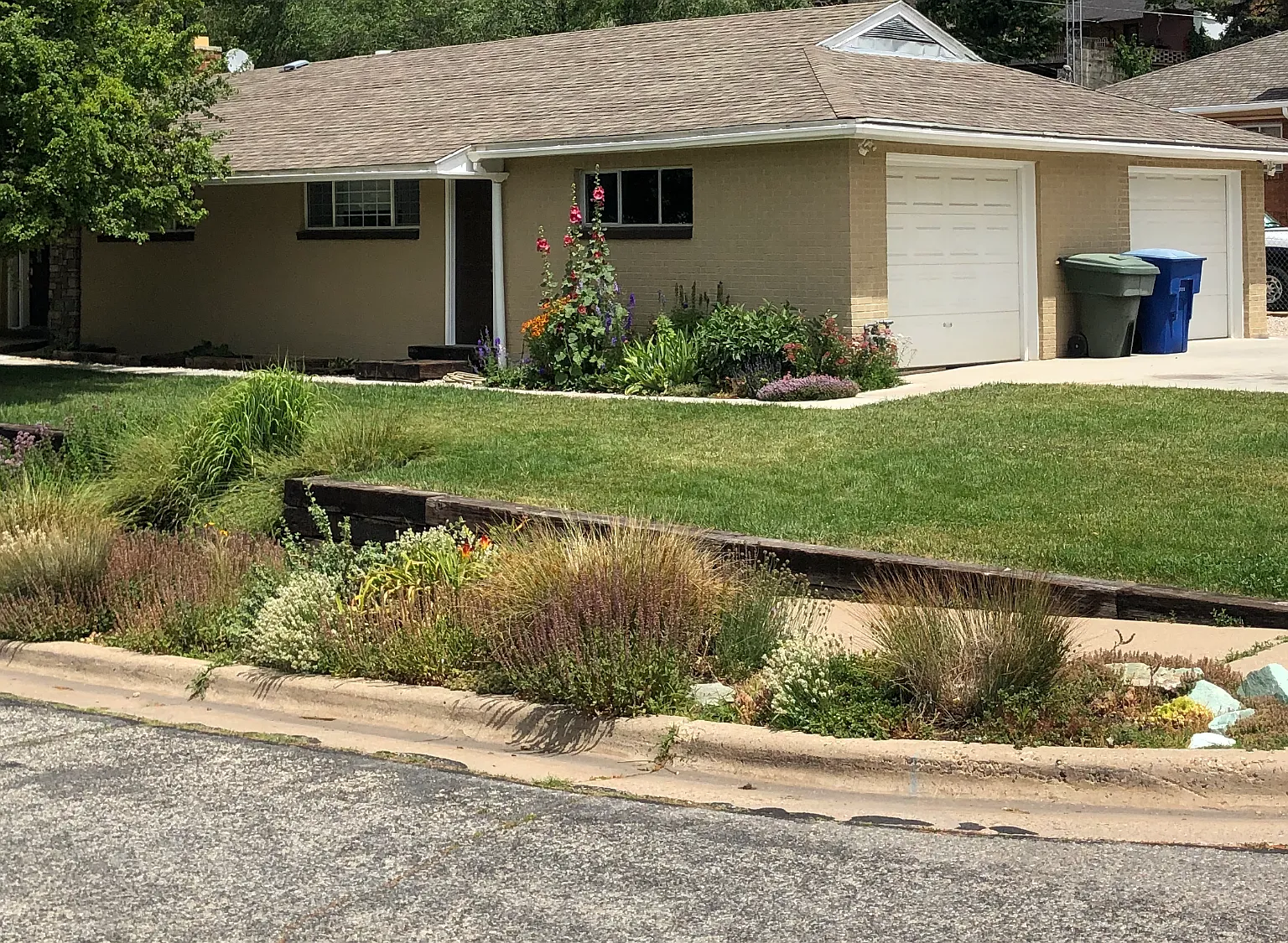 1 bed, 200 sqft, $750 — Photo 1