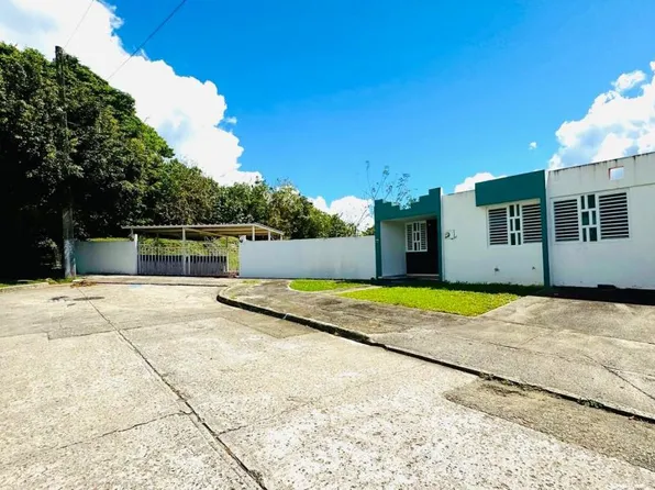 Urb Lirios Cala B 38 Calle, Juncos, PR 00777