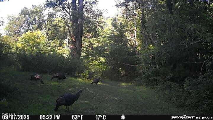 94th image of this home