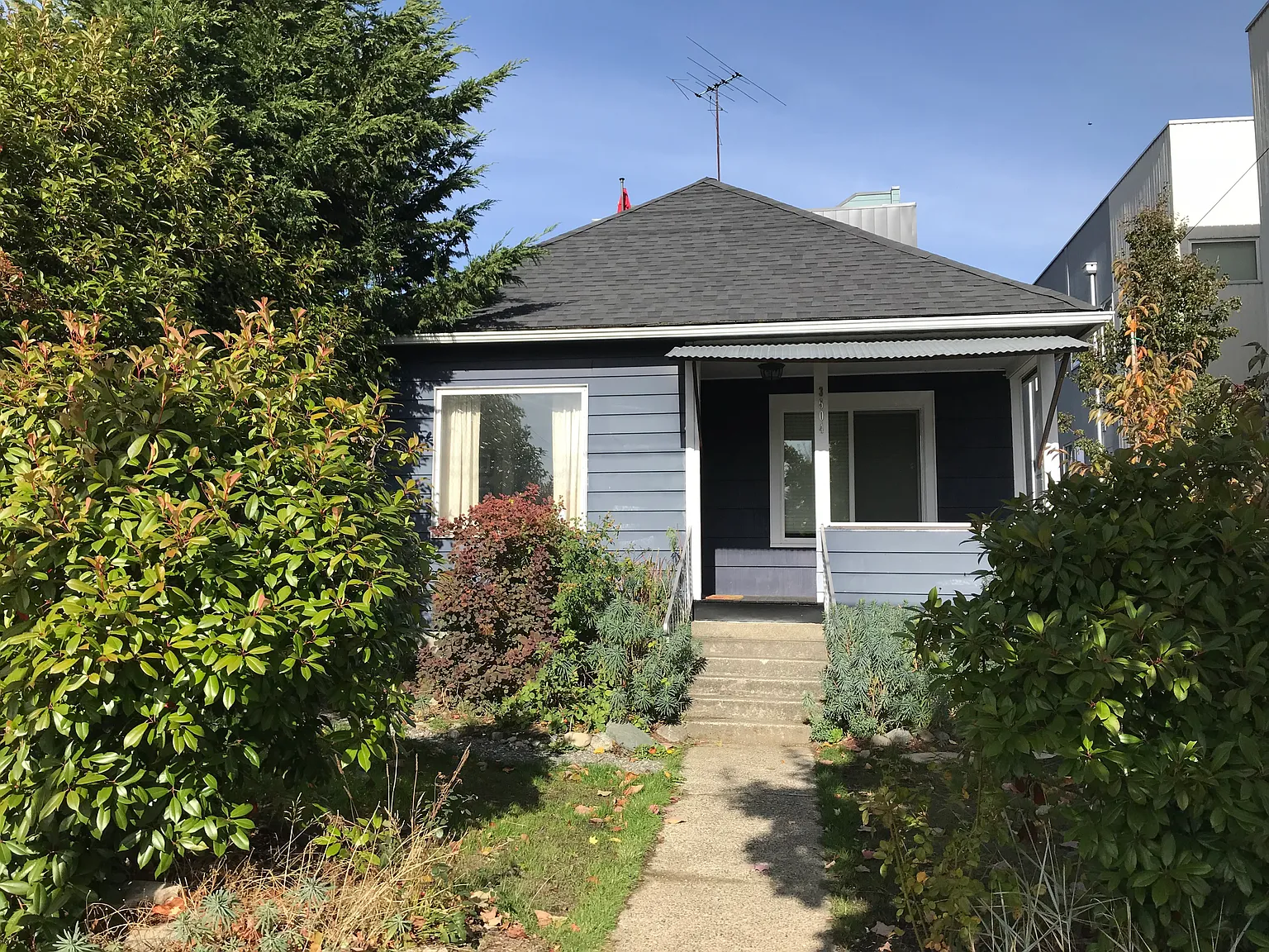 2 bed, 1000 sqft, $3,000 — Photo 1