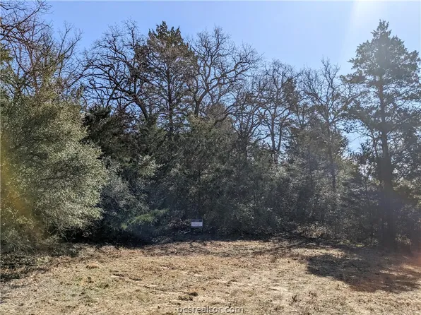 Mustang, Normangee, TX 77871