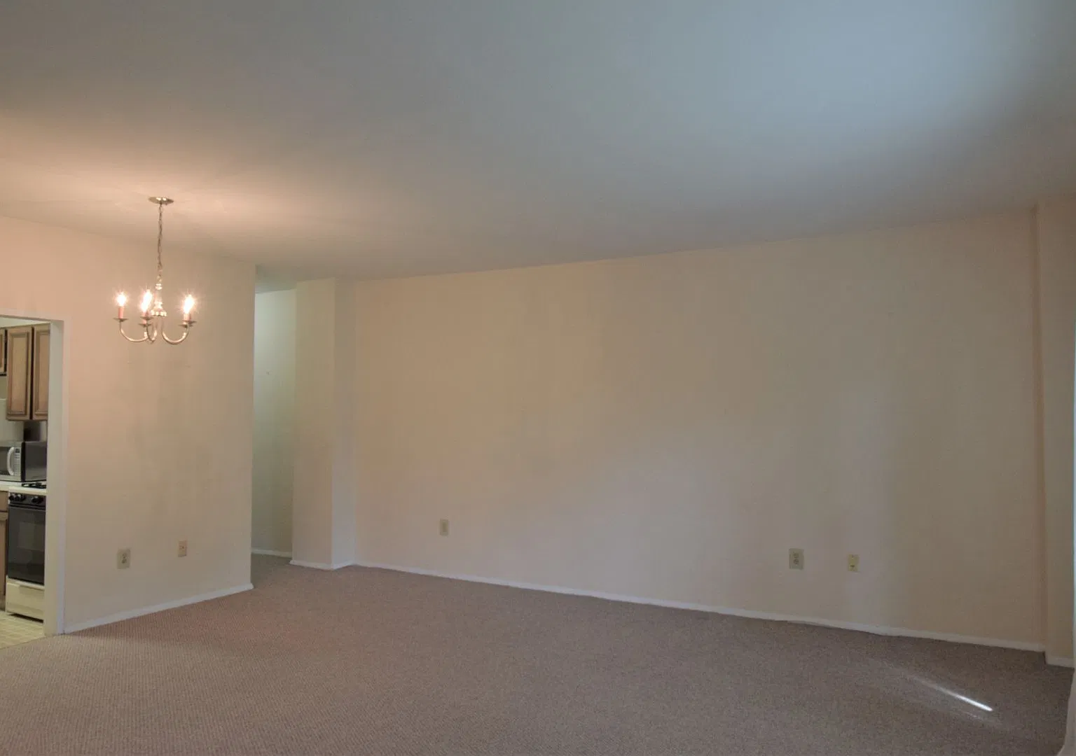 Spacious Studio in the Heart of Cleveland Park Incredible Location — Photo 2