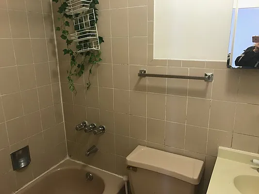 Rented by Exit Kingdom Realty | media 5