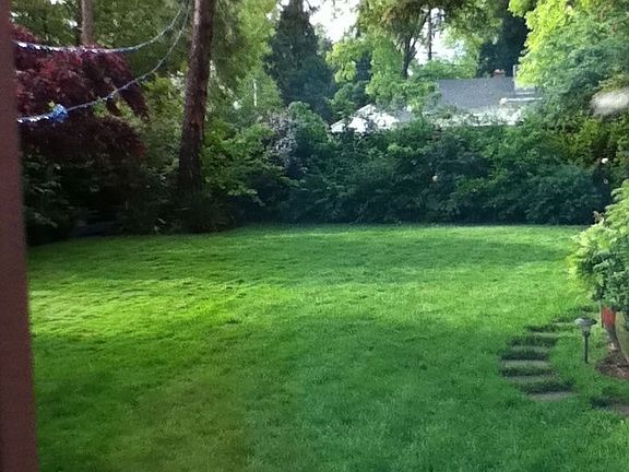 Like our park!