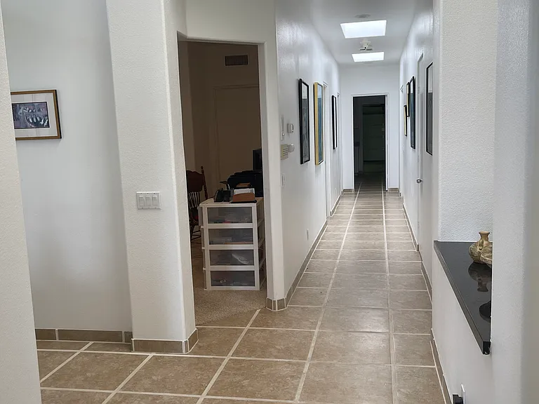392 Desert Holly Dr — Photo 11
