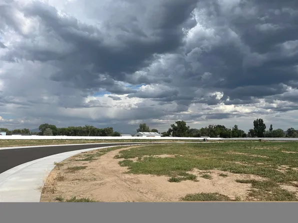 1931 Farmers Ct, Fruita, CO 81521