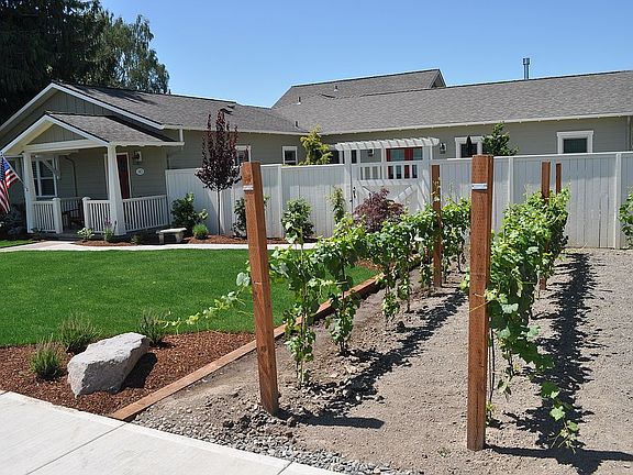 Front Fence & Gate to Patio