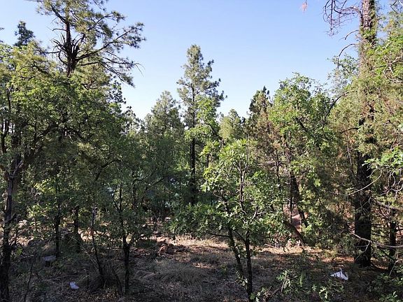 View from Backyard