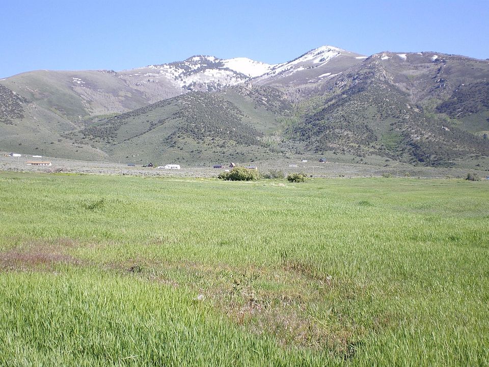 Looking South East