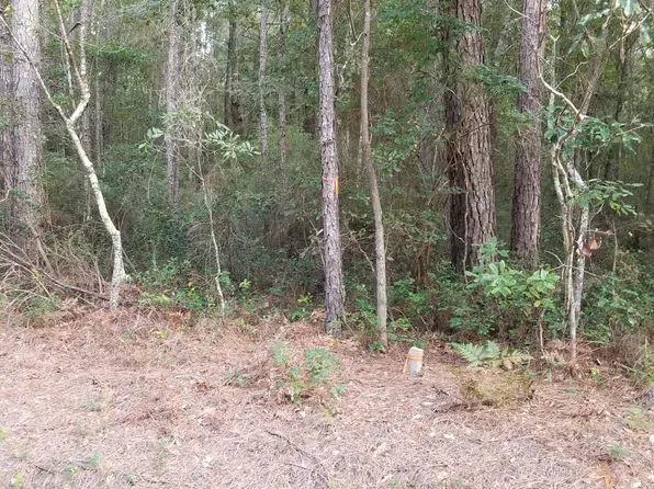 0 Jacksonboro Rd, Round O, SC 29474