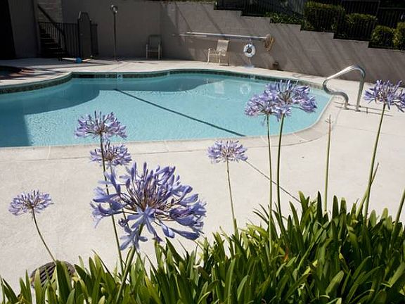 Community Swimming Pool