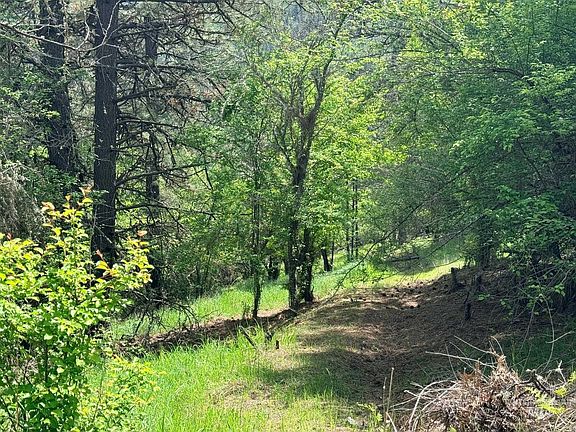 3rd image of 620 Old Peck Grade