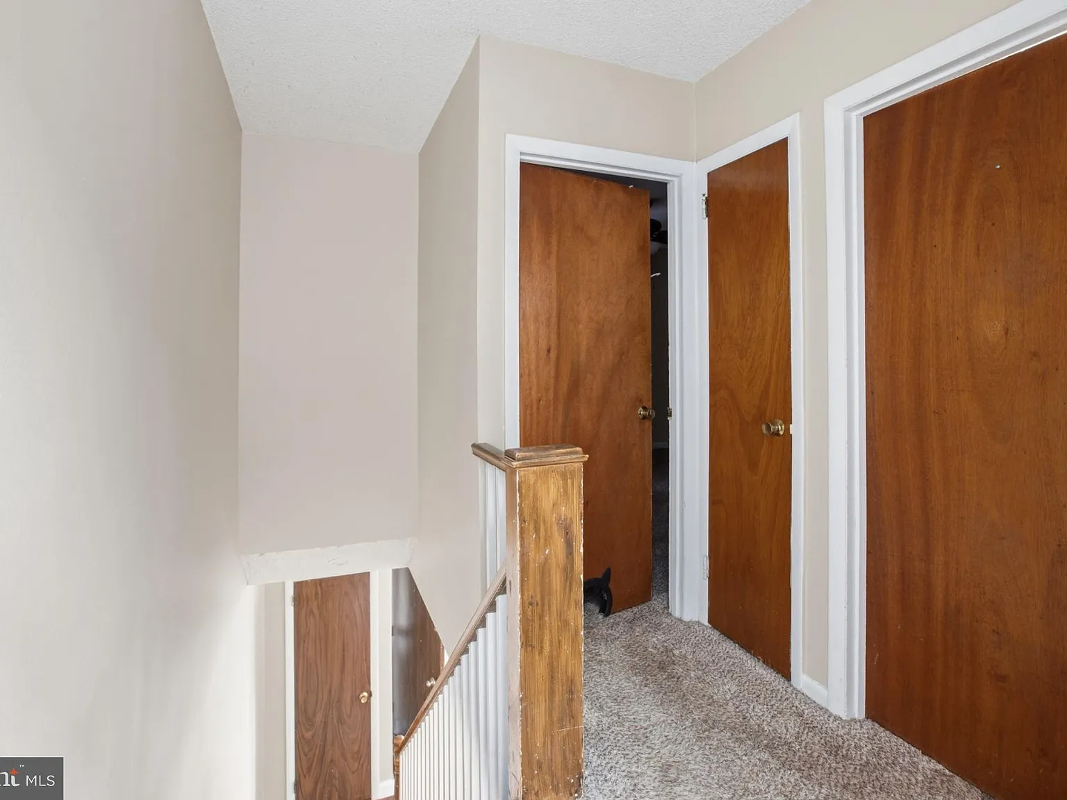 2 bed, 1.0 bath, 906 sqft, $1,750 — Photo 3