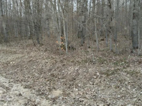 417 Skytrails Dr, Mancelona, MI 49659