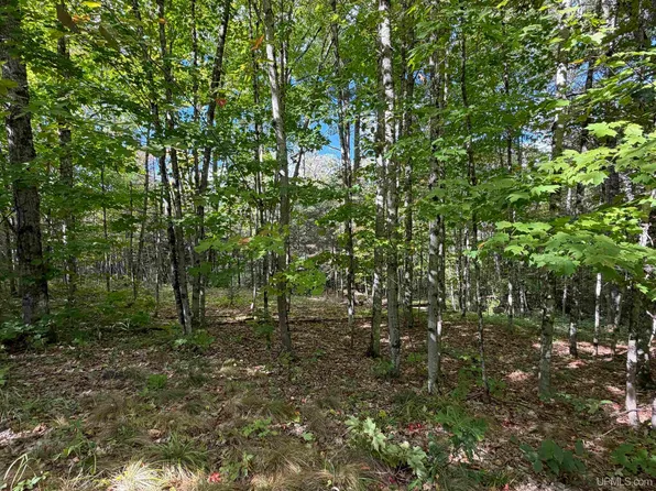 W 40/acres 2116 Us 41 Hwy, Michigamme, MI 49861
