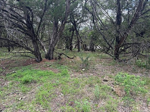 2nd image of 82 Percival LOT 11