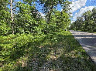 V/l S Astor Rd, Baldwin, MI 49304