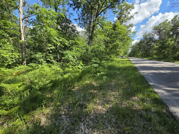 V/l S Astor Rd, Baldwin, MI 49304