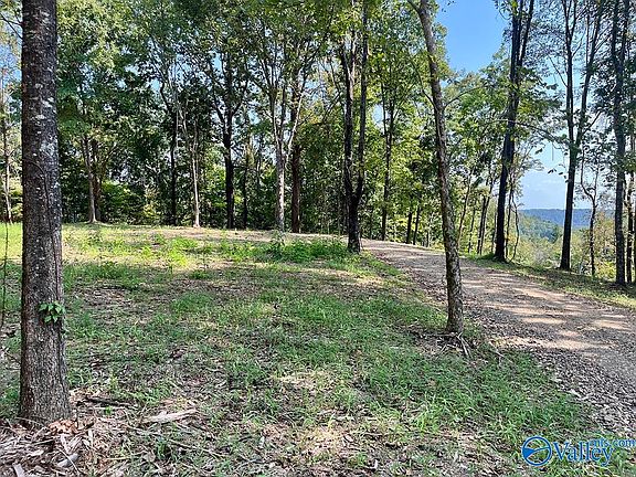 3rd image of 27720 Easter Ferry Rd