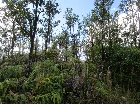 Apuakehau Rd Lot 45, Volcano, HI 96785
