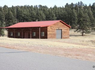 336 Main St, Guffey, CO 80820