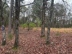 1st image of County Road 4430