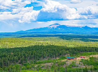 Lot 4 County Road 51, Florissant, CO 80816
