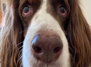 16249 Perdida Ct, Punta Gorda, FL 33955