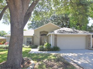 4104 Yellowwood Dr, Valrico, FL 33594