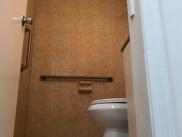 Guest Bath - Walk in Shower