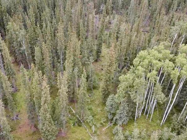 1327.6-B4 Alaska Hwy, Tok, AK 99780