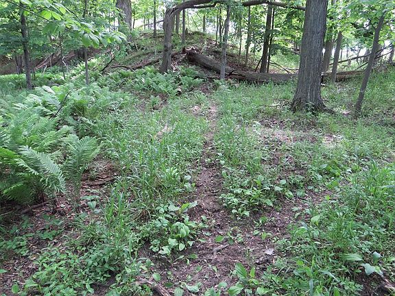 3rd image of Vl Rescue Rd