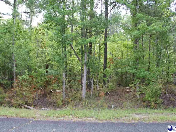2 Family Rd, Mc Bee, SC 29101