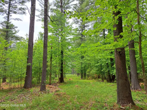 L53 Hardy Road, Wilmington, NY 12997