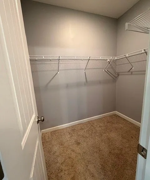 6862 Cedar Creek Rd — Photo 9