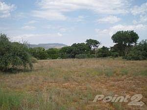 Henry Lane Cottonwood20130705_02