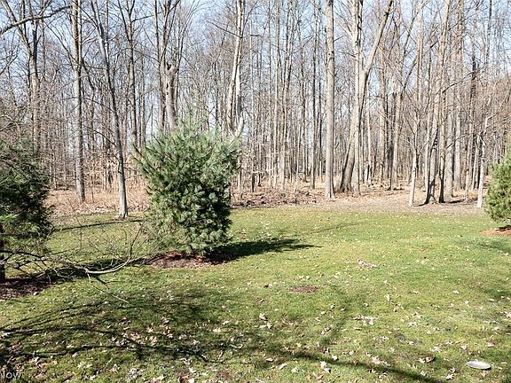 4th image of 14018 Pine Lakes Dr