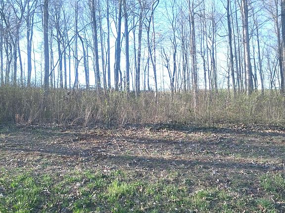 4th image of 0 Ellis Woods Loop Lot 10C
