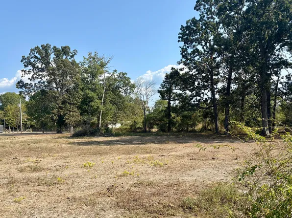 000 Tbd Woodland Street, Taneyville, MO 65759